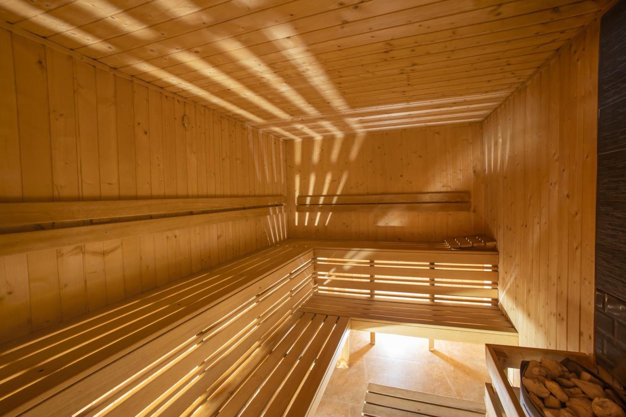 ブシ リゾート&スパ スコピエ エクステリア 写真 Sauna